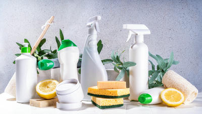 Eco-Friendly Dusting Solutions for a Greener Home