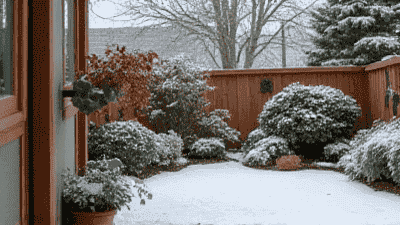 Preparing Your Outdoor Space for Cold Weather: Tips for Gardeners